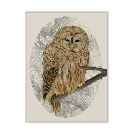 Trademark Fine Art Melissa Wang 'Barred Owl I' Canvas Art, 14x19 WAG07355-C1419GG